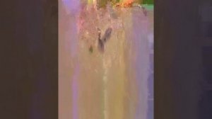 как сделать утю лалафан из бумаги 1 часть❤️??