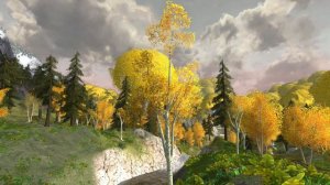 LOTRO music - Lothlorien ambience - Lord of the Rings Online soundtrack
