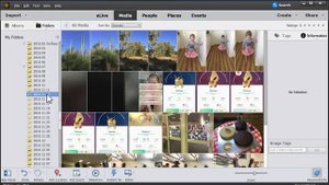 Move Folders in Photoshop Elements Organizer to Avoid Disconnected files