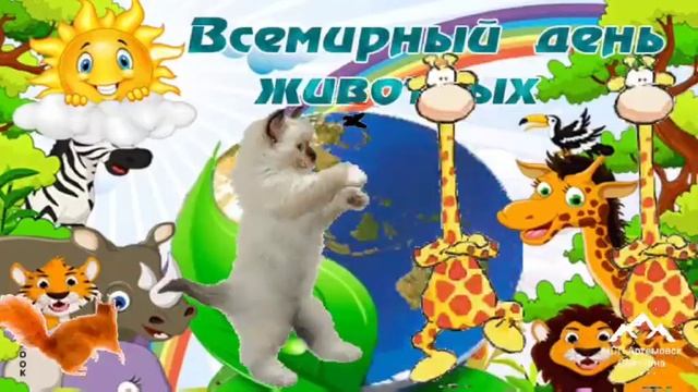 День домашних животных ! Поздравление с днем животных ! Песня про животных ! Друзья у нас лохматые