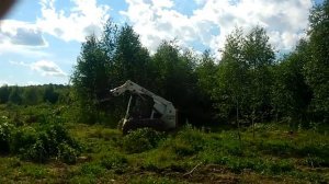 Удаление деревьев на землях сельхозназначения