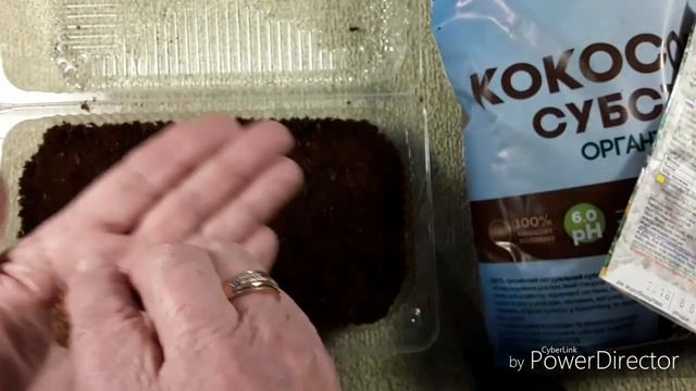 Огород на подоконнике. Посев кресс-салата в декабре . смотреть онлайн