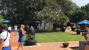 Novotel Goa Resort, Гоа, Кандолим. Обзор отеля.