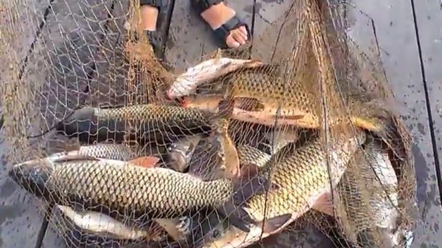 Рыбалка в Слатино июль 2013!!! смотреть онлайн