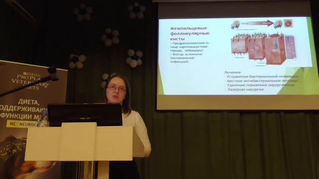 Конференция 2018 12 19 Стекольщикова Надежда Александровна смотреть онлайн