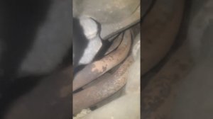 Снимаем стартер с нивы#замена на редукторный #