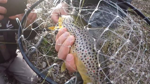 Риболов на пъстърва. Откриване на пъстървов сезон 2019. смотреть онлайн