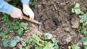 Xp Orx HF vs Minelab X-terrra 705. Тест на медную монету в грунте. Xp Orx или x-terra 705?