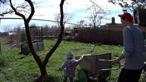 Во саду ли в огороде