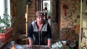 Кливия.КАК ЗАСТАВИТЬ КЛИВИЮ ЦВЕСТИ. ОТВЕТ НА ВОПРОС ПОДПИСЧИКОВ