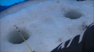 Зимняя рыбалка на отводной поводок#3
