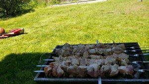 Мой огород в Канаде. Что я выращиваю?/ Выходные