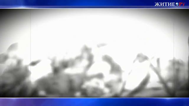 СУМАСШЕДШИЙ ОФИЦЕР. смотреть онлайн