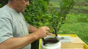 Потолочная кормушка на 3 литра.