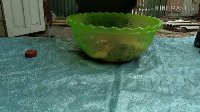 готовлю карпа на углях смотреть онлайн