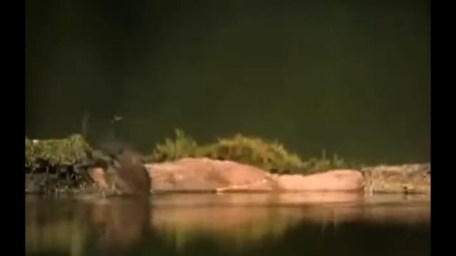 ВИА Голос юности Гроза весенняя