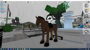 Хобихорс....