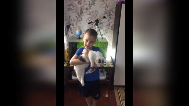 М. Пляцковский "Цап-Царапыч". Исполняют: Спорынина Вероника, Чипырин Максим и Изицина Арина. смотреть онлайн