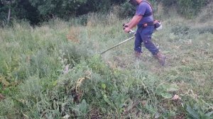 Stihl fs560 C - cutting large grass with the best mower