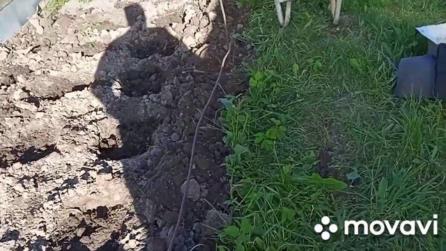 Мини парник для томатов из подручных материалов. смотреть онлайн