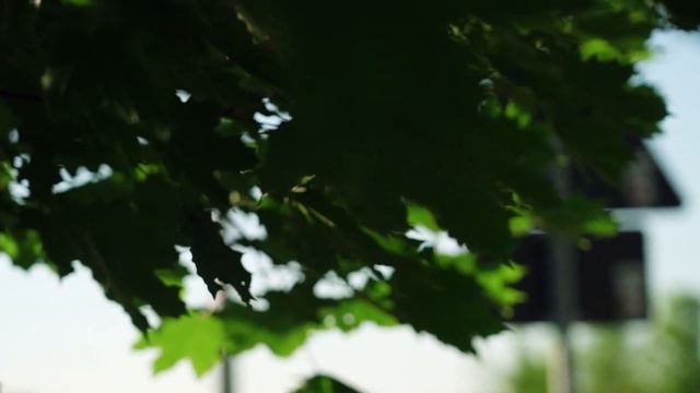 Не знала, что беременна: женщина родила ребенка в лосины и выбросила на рынке. смотреть онлайн