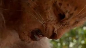 Уэллс Г   Остров доктора Моро