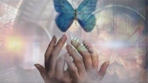 притча УРОКИ БАБОЧКИ