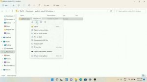 How to install Android SDK Platform Tools (ADB & FASTBOOT) on Windows 11 / Windows 10