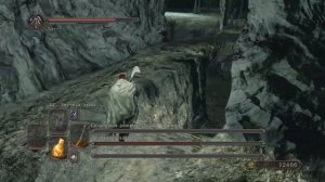 Варг, Церах и Разорительница Гробниц - Dark Souls II #39