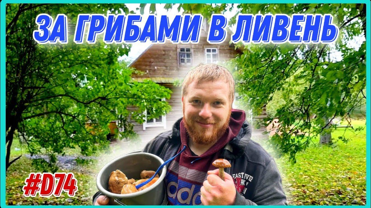 Охота за грибами в ливень. Что нашли? Хуторские новости. #хочувдеревню #хутор #грибы #тихаяохота