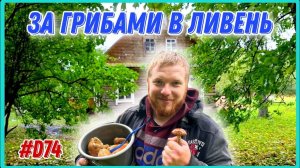 Охота за грибами в ливень. Что нашли? Хуторские новости. #хочувдеревню #хутор #грибы #тихаяохота