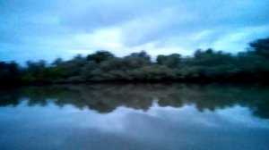 Рыбалка.Река Протока. Хороший улов.