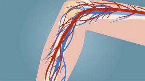 Почему долго сидеть вредно