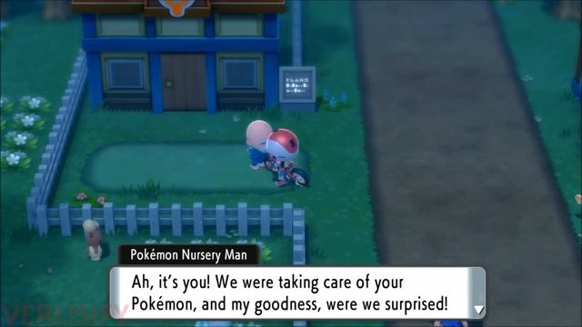 ALL SHINY HUNTING METHODS IN POKEMON BRILLIANT DIAMOND! Best Pokemon BDSP Shiny Guide!