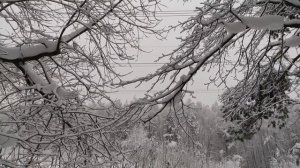 Треск ЛЭП 500 кВ, съёмки из леса.