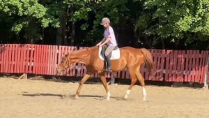 ВЛОГ/верховая езда