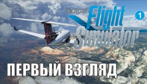Microsoft Flight Simulator - Первый взгляд