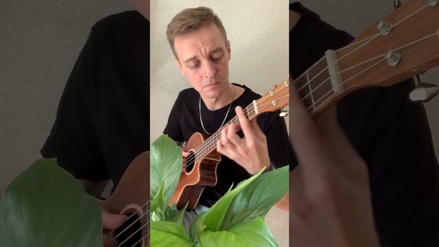 укулеле. Самба-баян ТАБЫ БЕСПЛАТНО! смотреть онлайн