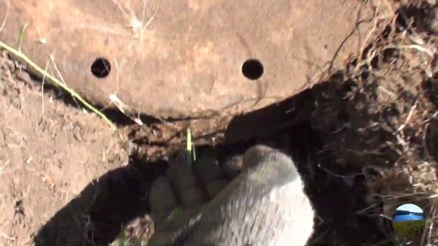 Металлокоп. Результат за 2 дня. Пачка денег). Воспоминания о лете. смотреть онлайн