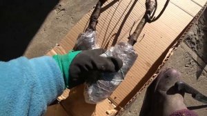 ПОСЫЛКА ОТ САДОВОГО РАЯ? САЖАЕМ НА ЗАМЕНУ НАШИХ ЗАБОЛЕВШИХ ЧЕРЕШЕН??