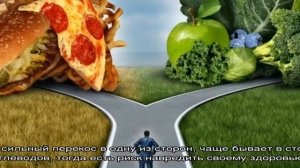 Белки в продуктах питания