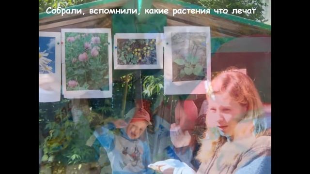 Экскурсия в "Зелёную аптеку" и "Поле" гр.6 смотреть онлайн