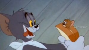 Pubg / Bgmi || Tom and Jerry || .EXE