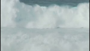 笛吹小僧　How Insensitive