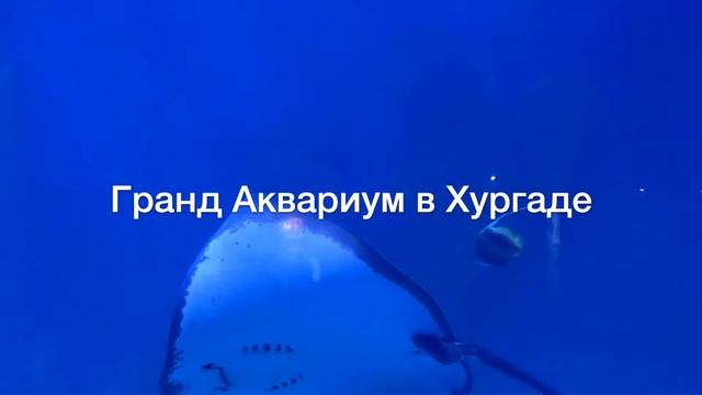 ГРАНД АКВАРИУМ В ХУРГАДЕ | РАЗОЧАРОВАНИЕ И ДОРОГОВИЗНА | ПЕСЧАНЫЙ ГОРОД | МИНИ ПИРАМИДЫ