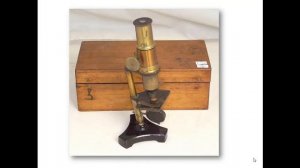 История развития знаний о клетке. Клеточная теория