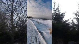 Зимний вечер  Евгений Осин