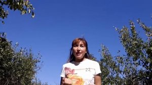 Видео обращение Ирины Гринштат
