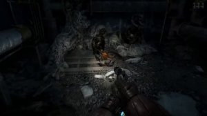 Дневники Metro Last Light - Факел
