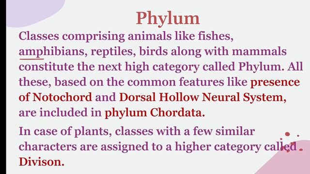 Taxonomic Categories l Class 11 l Taxonomy l Biology l Taxonomic Hierarchy l Classification l смотреть онлайн